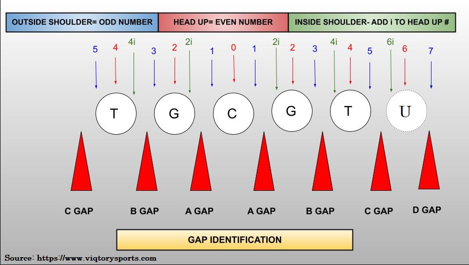 Gaps and Alignments